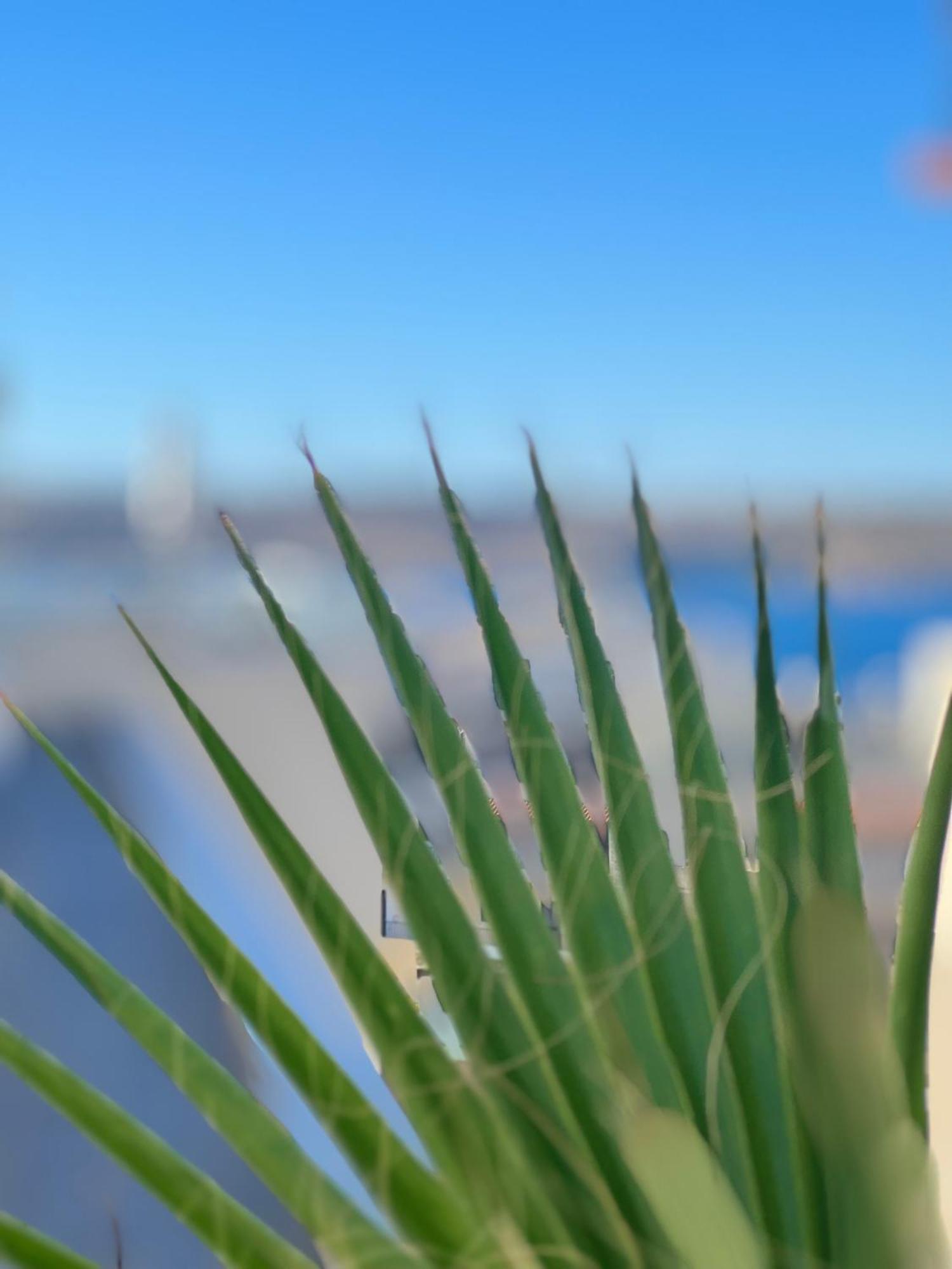 Modern & Spacious 2Br Penthouse With Terrace - Close To Qawra Beach St. Paul's Bay Exterior foto